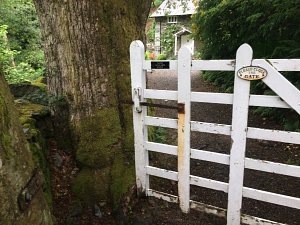 3 Tarn Cottage (Grasmere) 150 year old oak tree